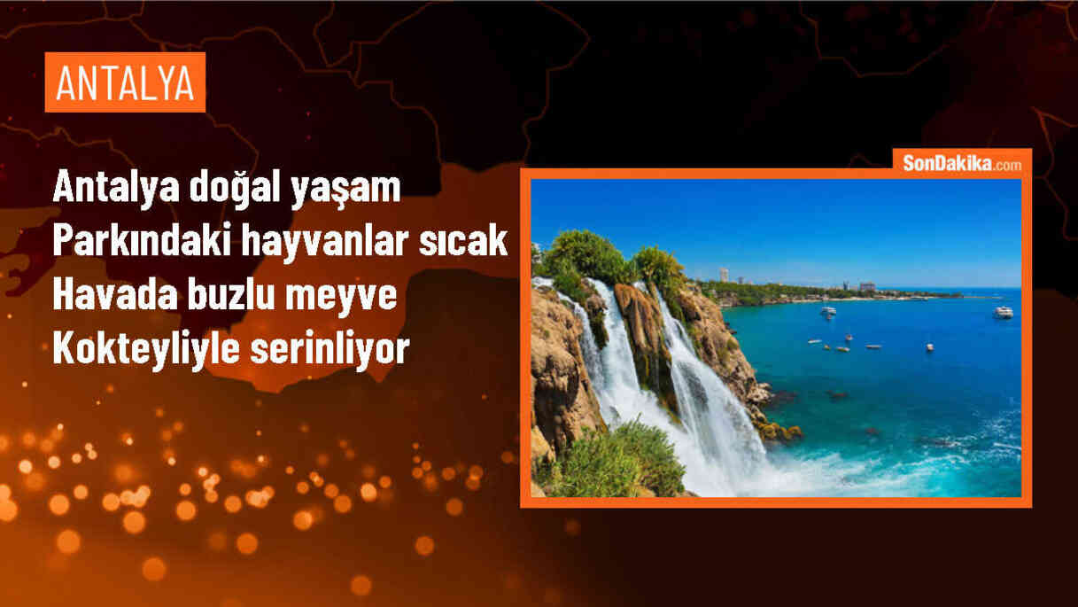 Antalya Doğal Yaşam Parkı\'ndaki Hayvanlar Sıcak Havada Serinletiliyor
