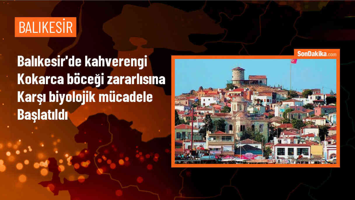 Balıkesir\'de Kahverengi Kokarcaya Karşı Biyolojik Mücadele