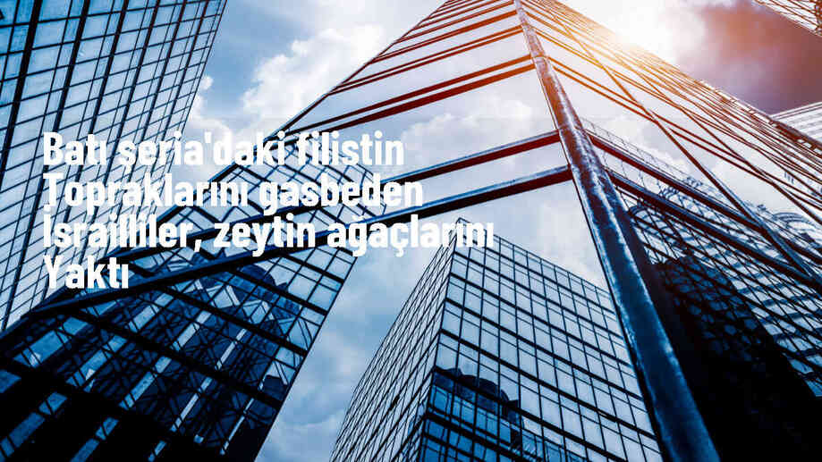 İsrailliler, Batı Şeria\'da Filistin topraklarını gasbederek zeytin ağaçlarını yaktı