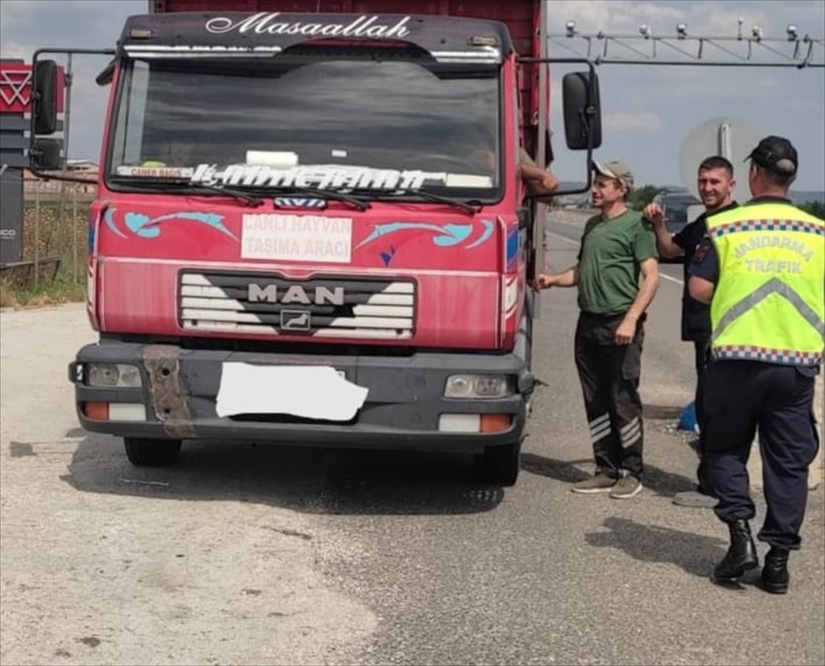 Edirne\'de Kurban Bayramı öncesi canlı hayvan taşıyan araçlara denetim