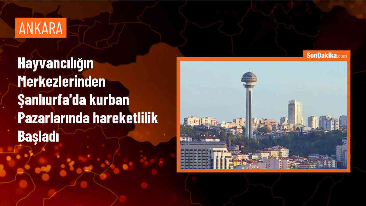 Şanlıurfa\'da Kurban Bayramı öncesi hayvan pazarlarında hareketlilik yaşanıyor