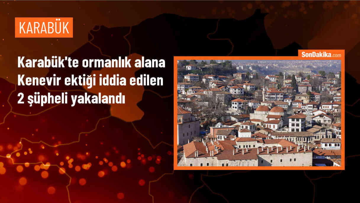 Safranbolu\'da Ormanlık Alanda Kenevir Ekimi Yapan 2 Şüpheli Gözaltına Alındı