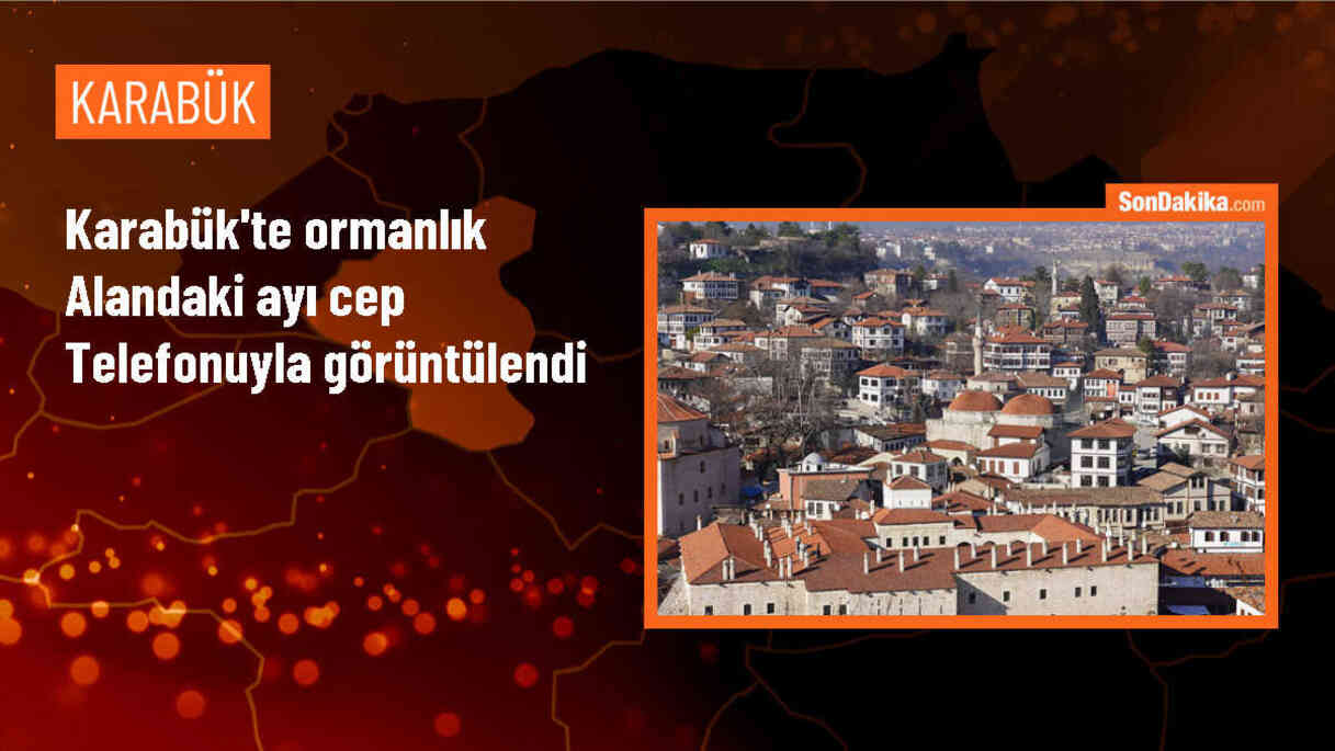 Karabük\'te ormanlık alandaki ayı cep telefonuyla görüntülendi