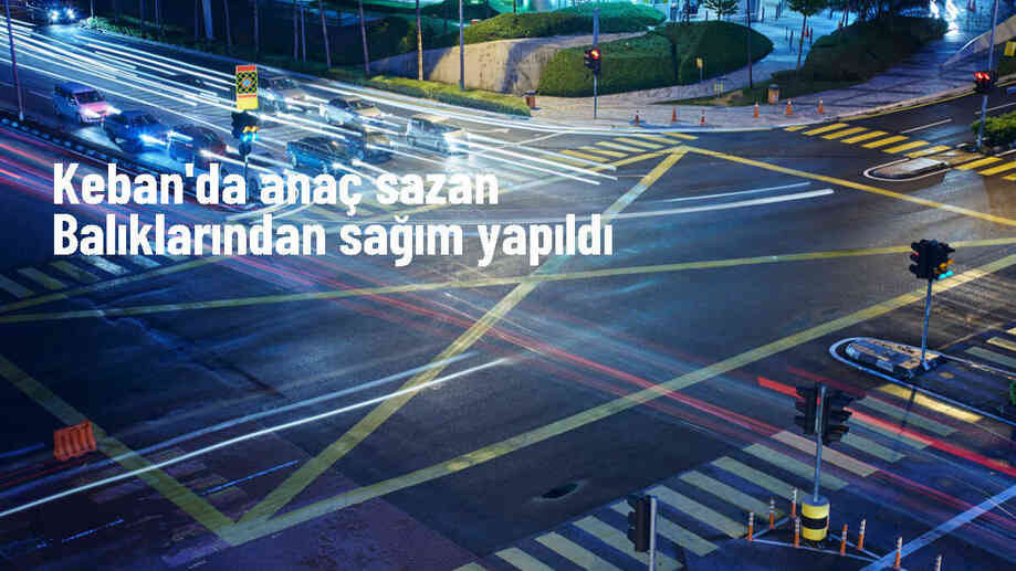 Keban Su Ürünleri Üretim Tesislerinde Sazan Balığı Yumurta Sağımı Başladı