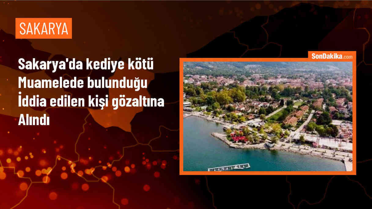 Pamukova\'da Kediye Kötü Muamele İddiasıyla Gözaltına Alındı