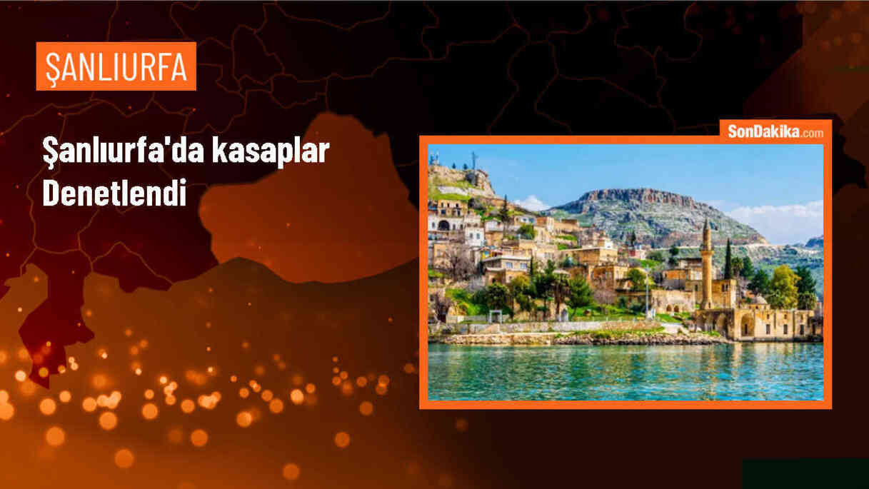 Şanlıurfa\'da kasaplarda tavuk karıştırılmış kıyma ele geçirildi