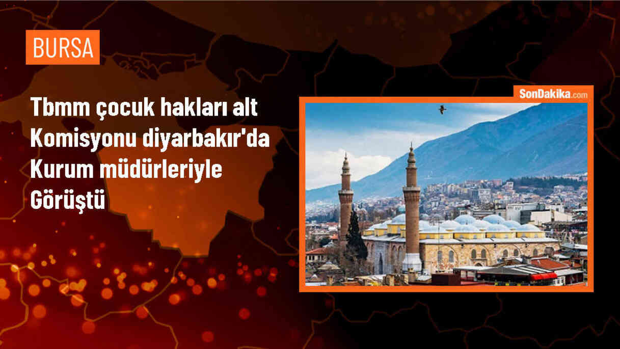 TBMM İnsan Haklarını İnceleme Çocuk Hakları Alt Komisyonu Diyarbakır\'da Toplantı Düzenledi