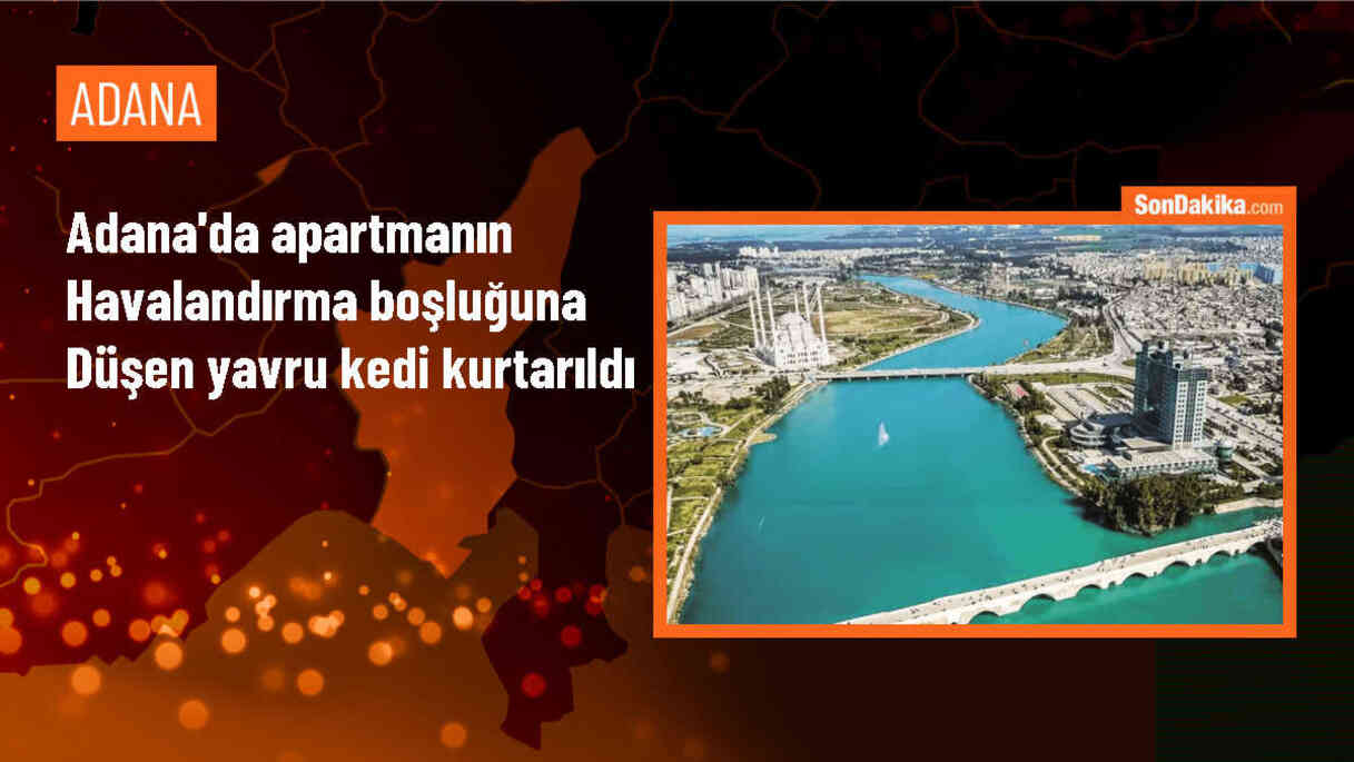 Adana\'da Çatıdan Düşen Yavru Kedi İtfaiye Tarafından Kurtarıldı