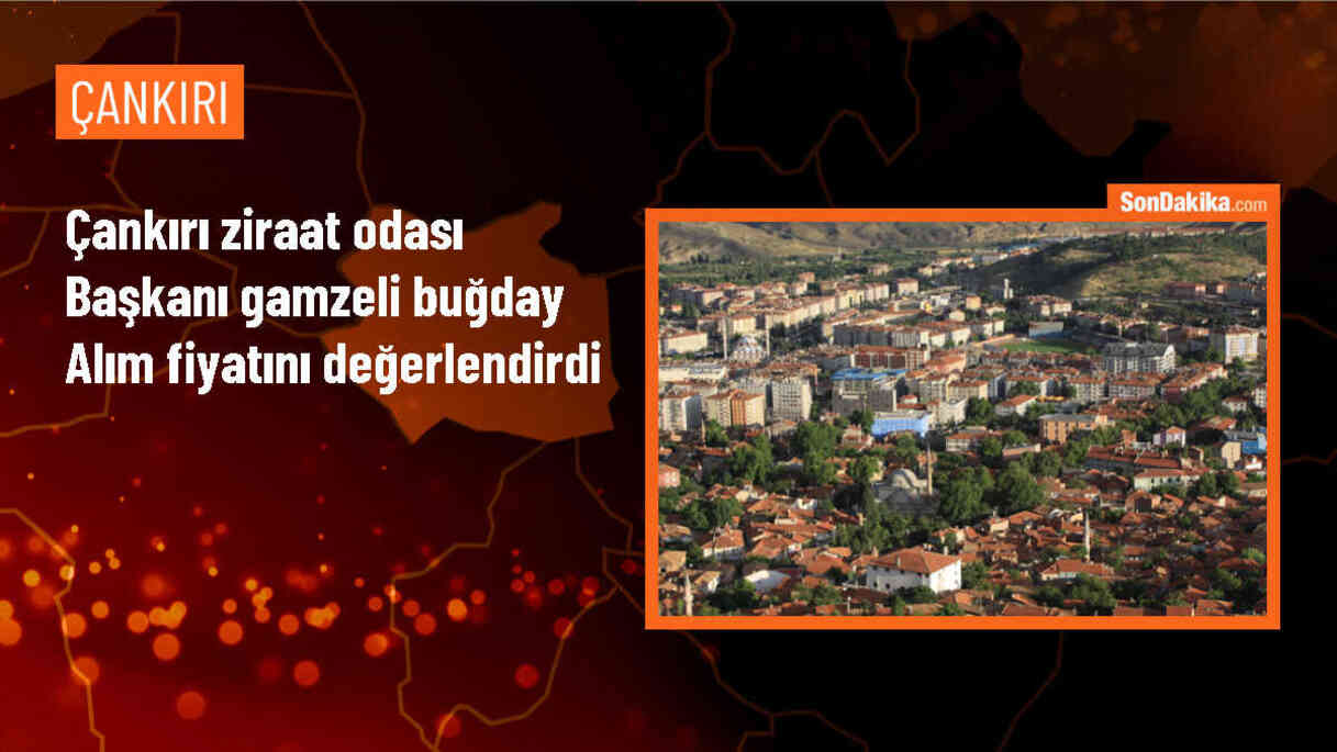 Çankırı Ziraat Odası Başkanı: Buğday alım fiyatı hayal kırıklığı yarattı