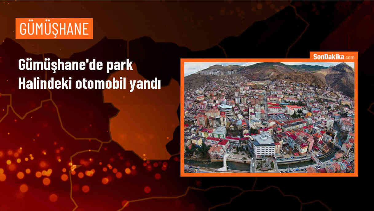 Gümüşhane\'de park halindeki otomobil yandı