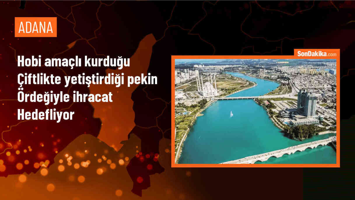 Adana\'da Emekli İşadamı Entegre Tesisinde Pekin Ördeği Yetiştiriciliği Yapıyor