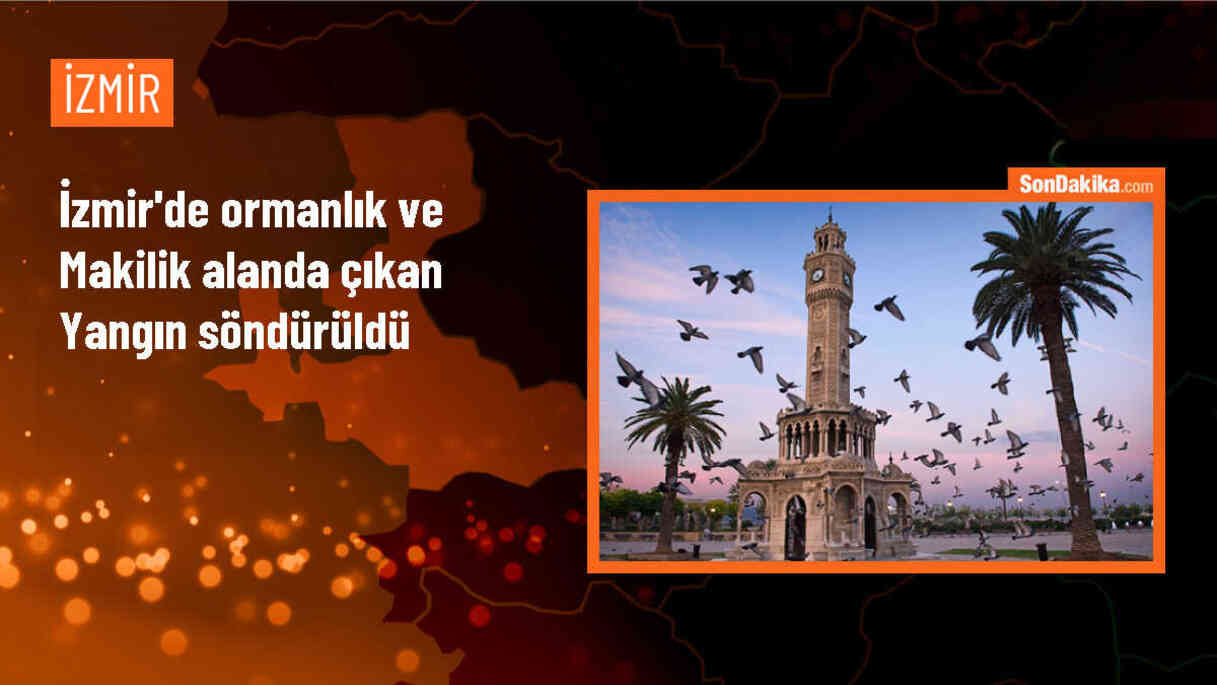 İzmir Urla\'da çıkan yangın söndürüldü