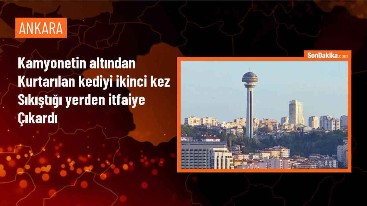 Ankara\'da Kamyonetin Altından Kurtarılan Kedi Yavrusuna İtfaiye Müdahalesi