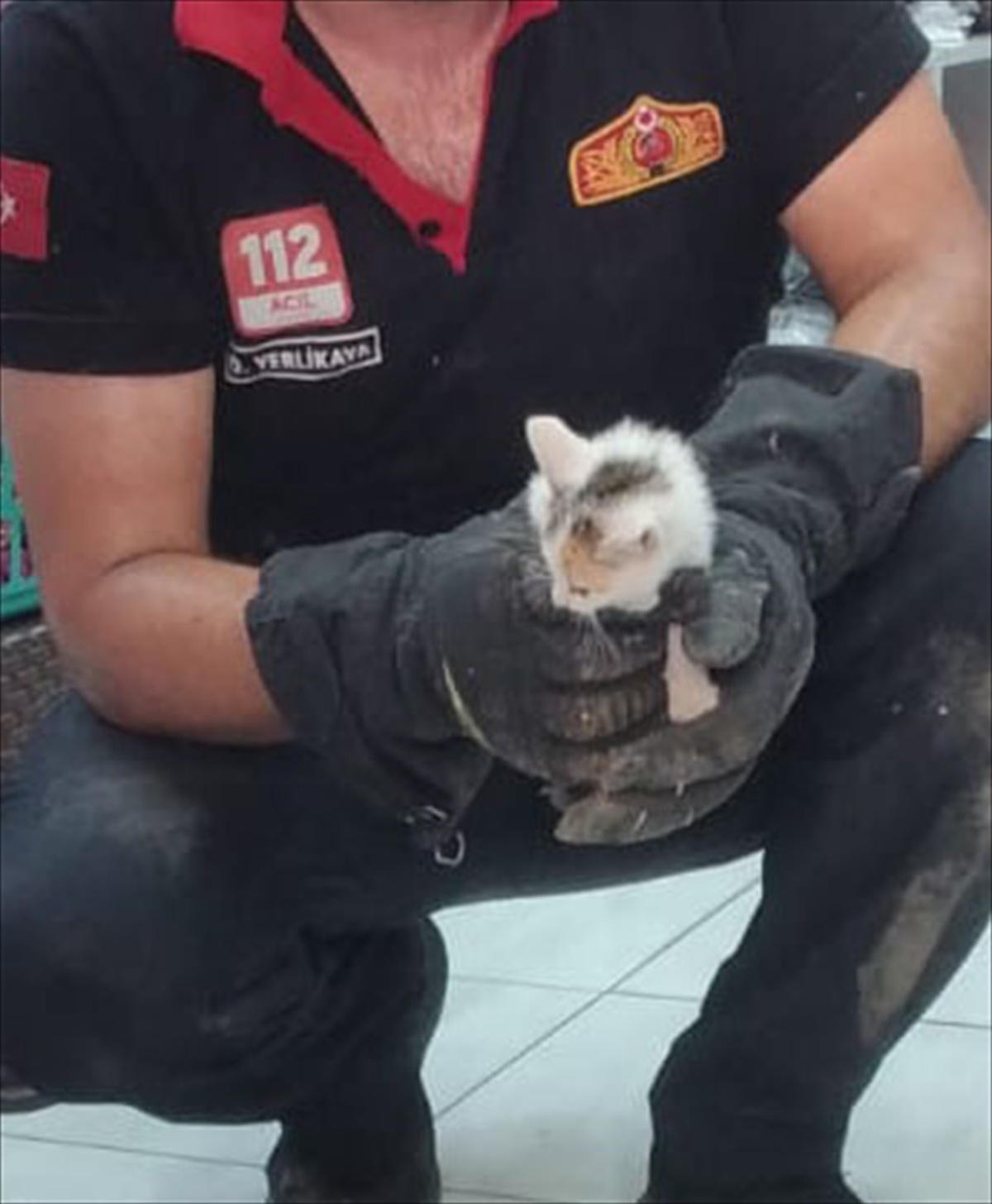 Lüleburgaz\'da su borusuna sıkışan kedi yavrusu kurtarıldı