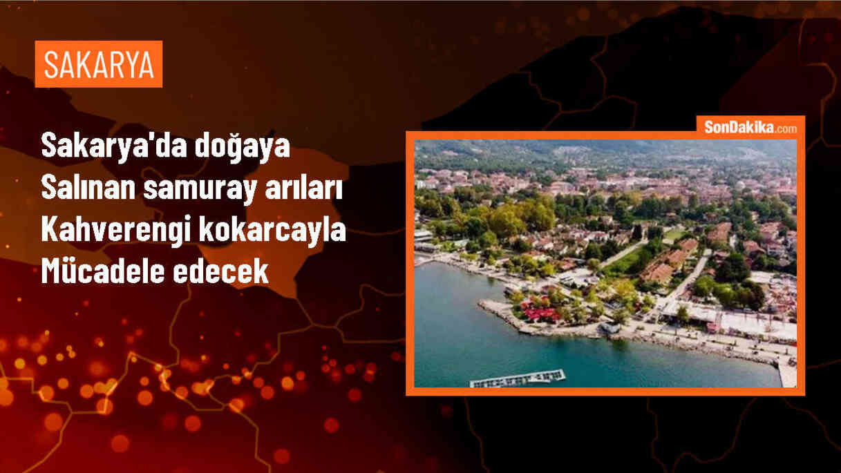 Kahverengi kokarcayla mücadele için samuray arıları salındı