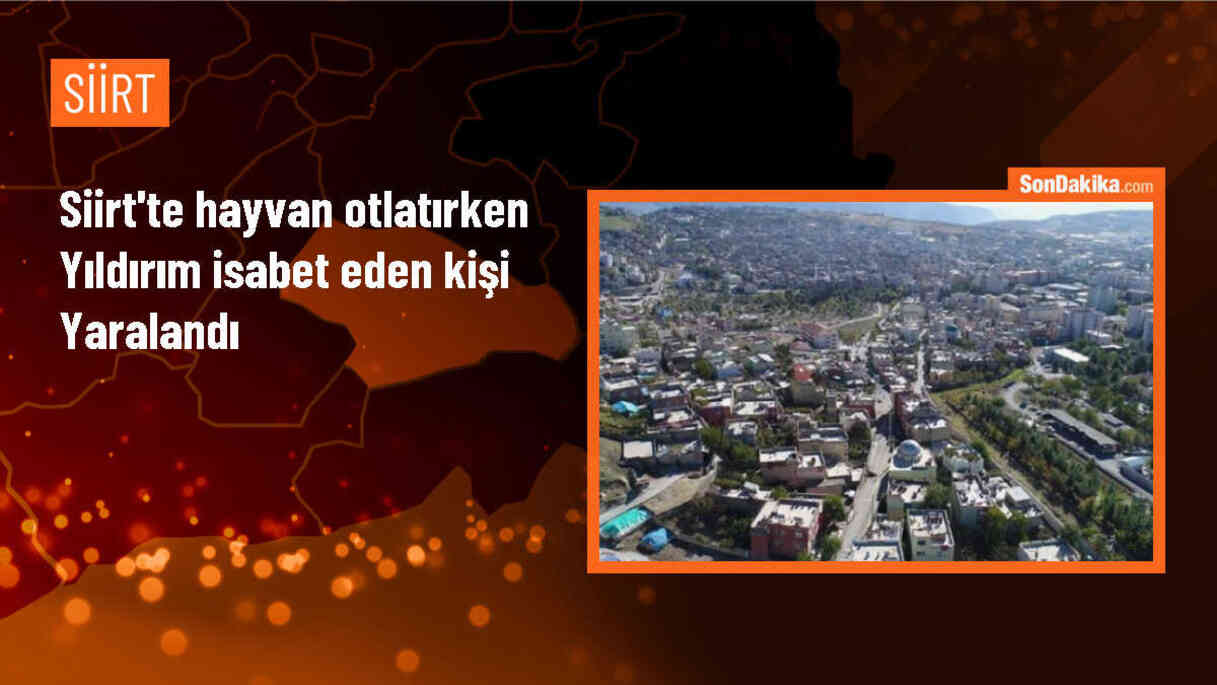 Siirt\'te hayvan otlatırken yıldırım isabet eden kişi yaralandı