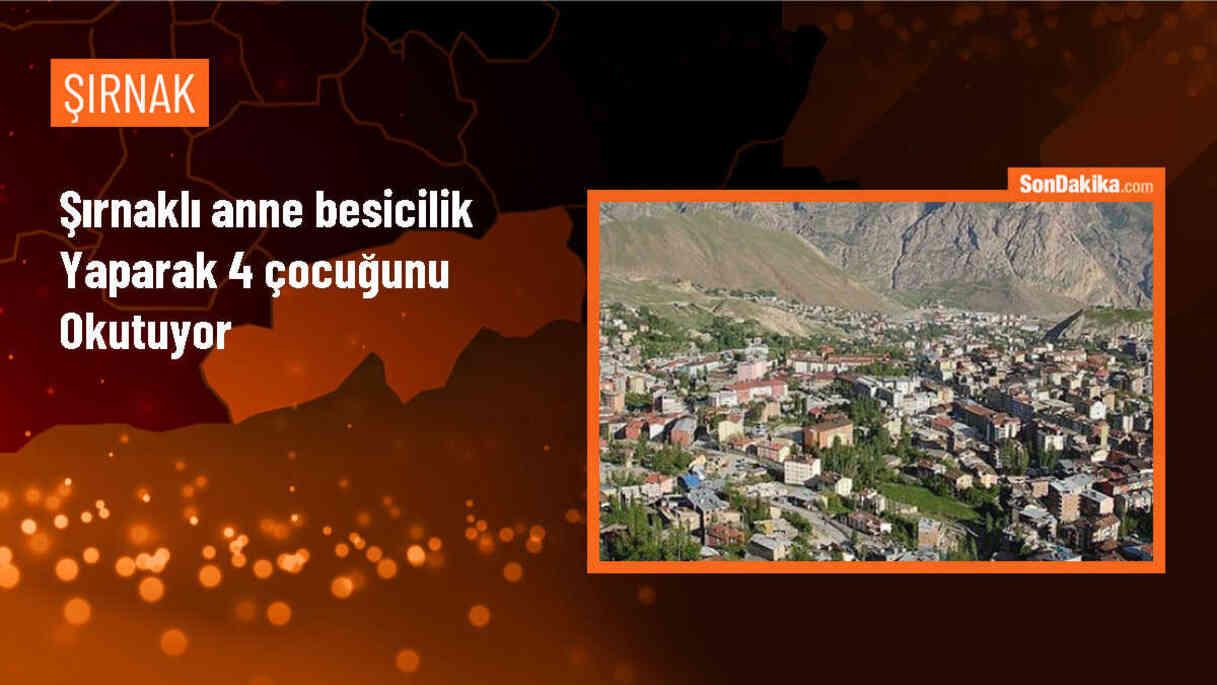 Şırnak\'ta Büyükbaş Hayvan Besleyen Anne, Çocuklarının Okumasını Sağlıyor