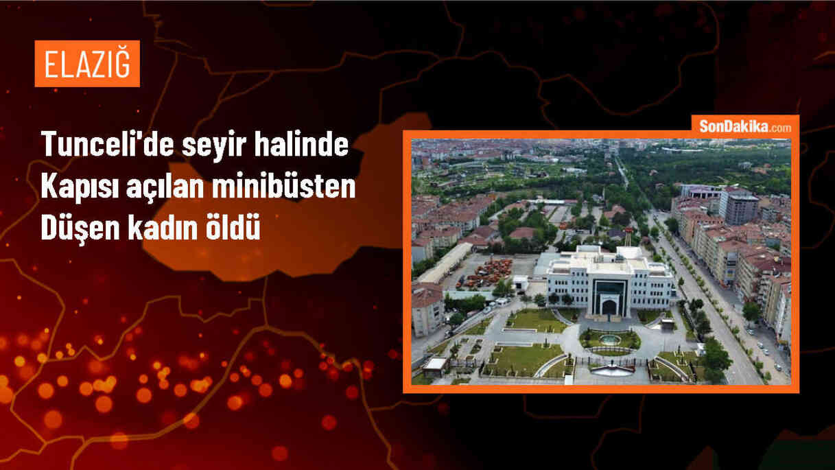 Tunceli\'de minibüsten düşen kadın hayatını kaybetti