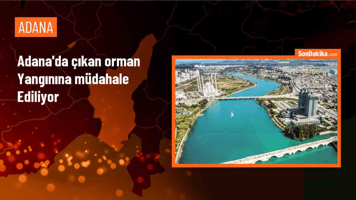 Adana\'da Ormanlık Alanda Çıkan Yangın Kontrol Altına Alınmaya Çalışılıyor