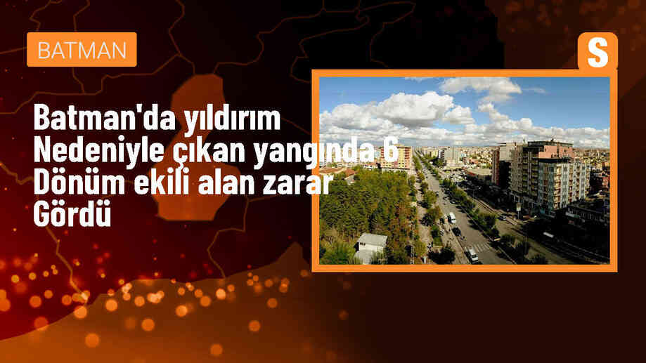 Batman\'da yıldırım düşmesiyle çıkan yangında 6 dönüm tarım arazisi zarar gördü