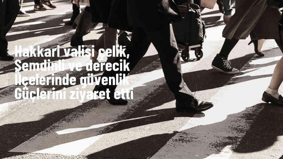 Hakkari Valisi Ali Çelik, Şemdinli ve Derecik ilçelerinde güvenlik güçlerini ziyaret etti