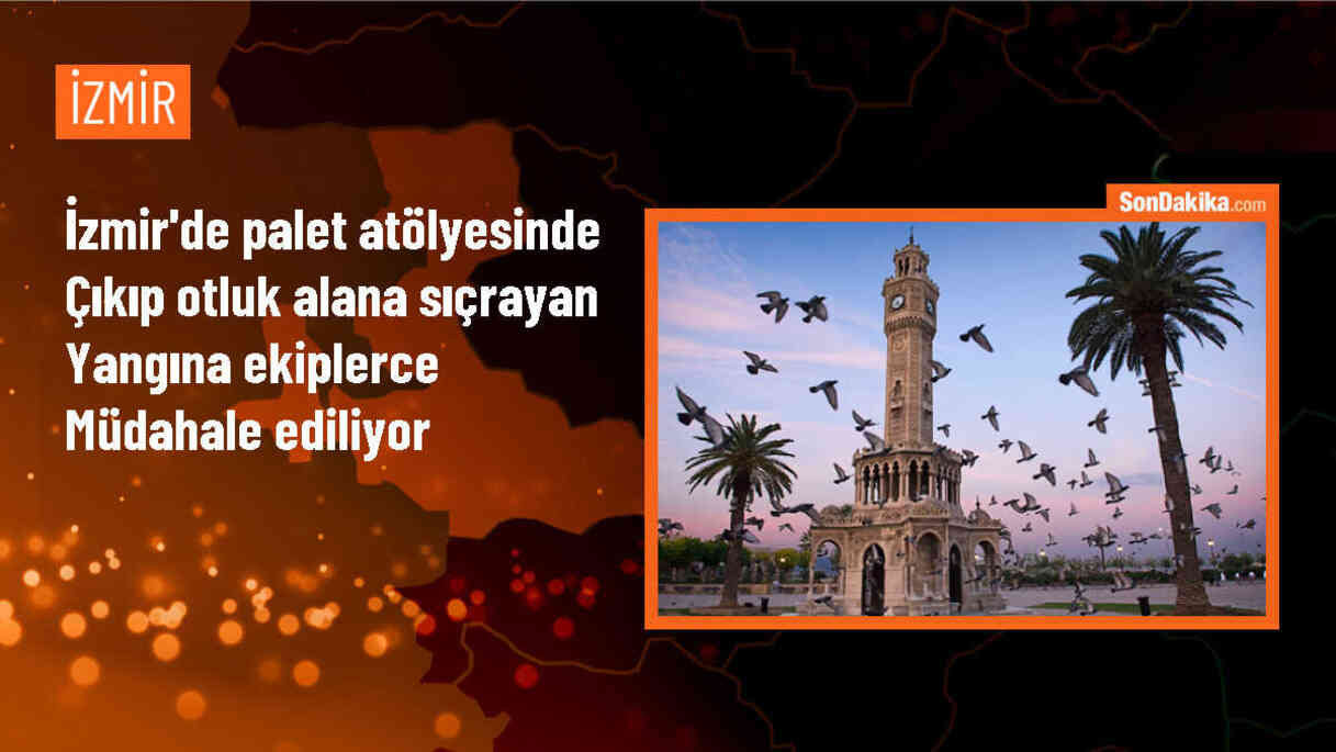 İzmir Kemalpaşa\'da palet atölyesinde çıkan yangına müdahale devam ediyor