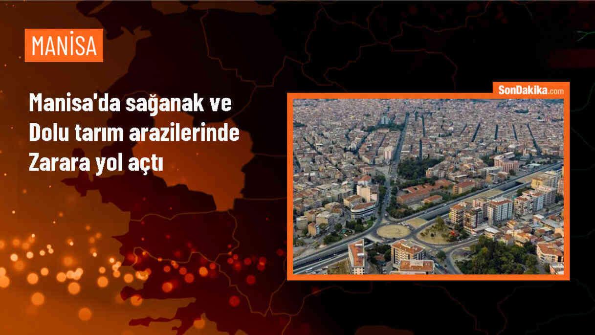 Manisa\'nın Alaşehir ilçesinde sağanak ve dolu tarım arazilerine zarar verdi