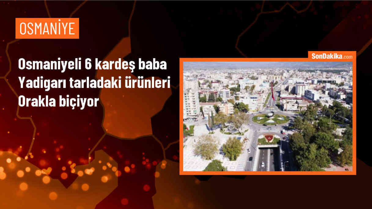 Babalarının Hatırasını Yaşatıyorlar: Kardeşler Tarlayı Orakla Biçiyor