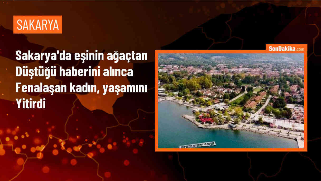 Ağaçtan düşen eşini hastanede kaybeden kadın hayatını kaybetti