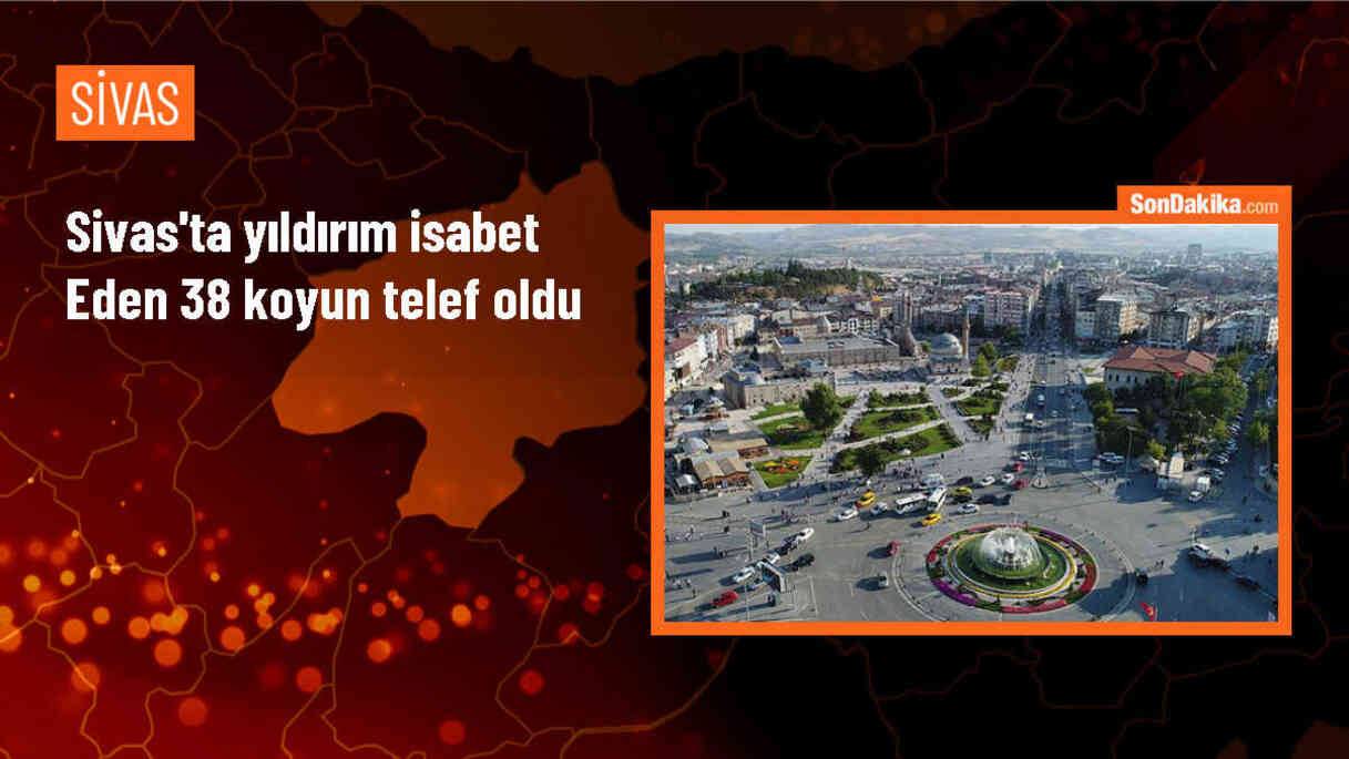 Sivas\'ın Gürün ilçesinde yıldırım isabet eden 38 koyun telef oldu