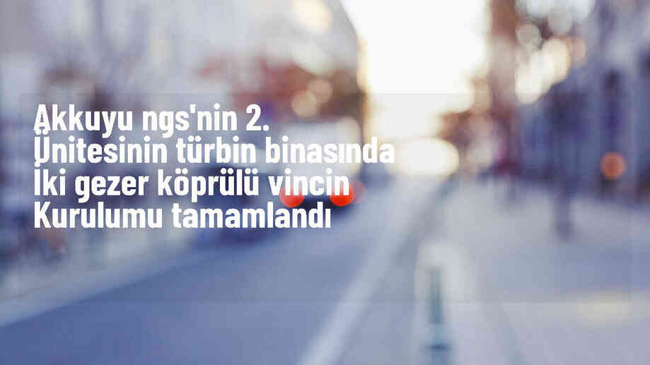 Akkuyu NGS\'nin 2. güç ünitesine köprülü vinçler kuruldu