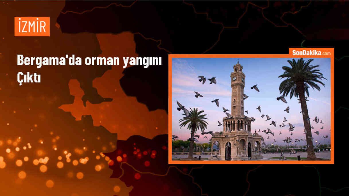 Bergama\'da Ormanlık Alanda Yangın Çıktı