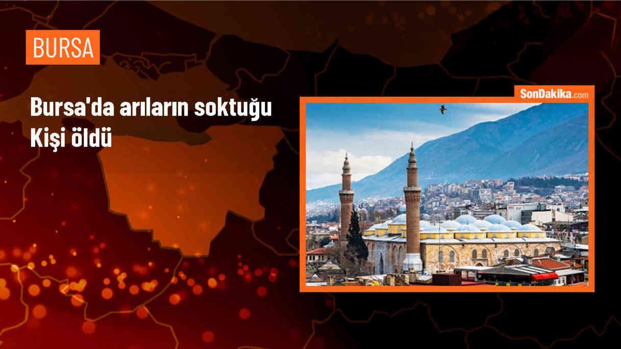 İnegöl\'de Arı Sokması Sonucu Bir Kişi Hayatını Kaybetti