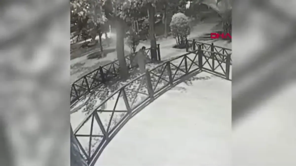 Esenler\'de Pitbull Saldırısı: Kedi Öldü, Başka Bir Kediye Saldırı Görüntüleri Ortaya Çıktı