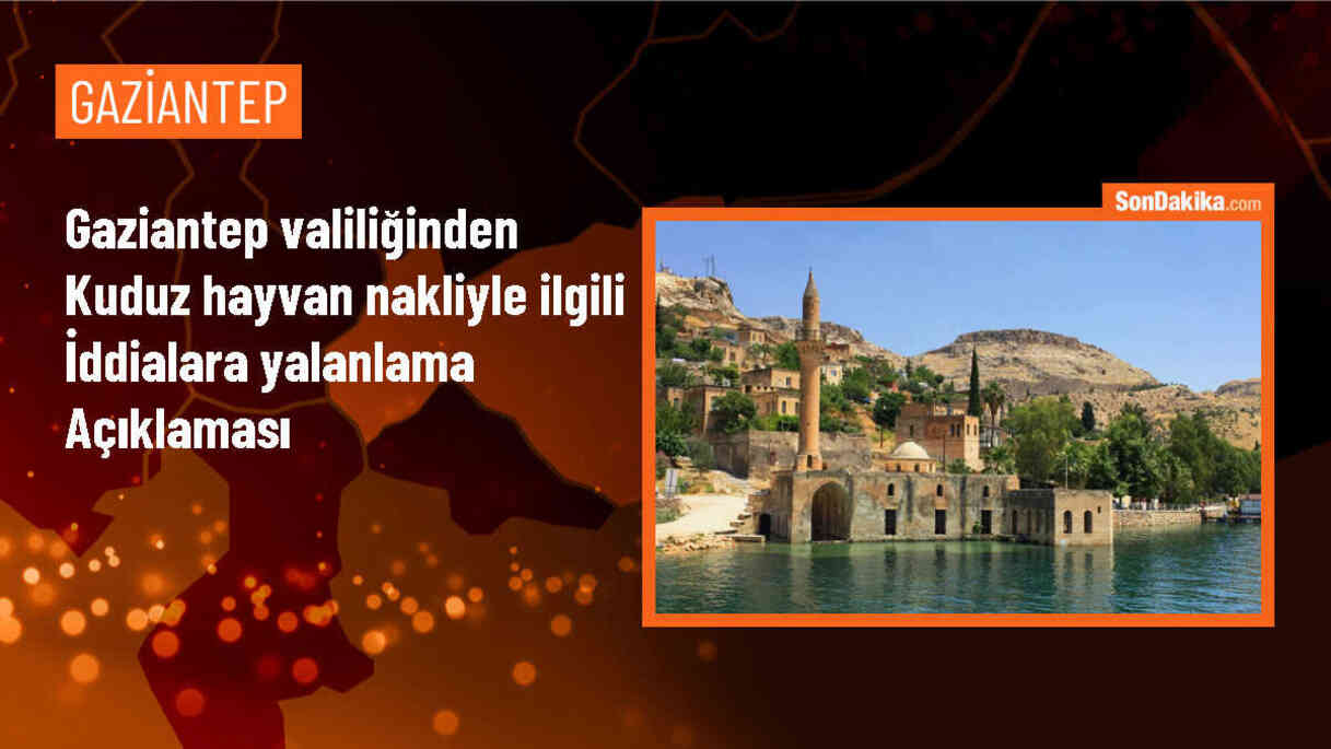 Gaziantep Valiliği: Şanlıurfa\'dan kuduz hayvan nakli iddiaları gerçeği yansıtmıyor