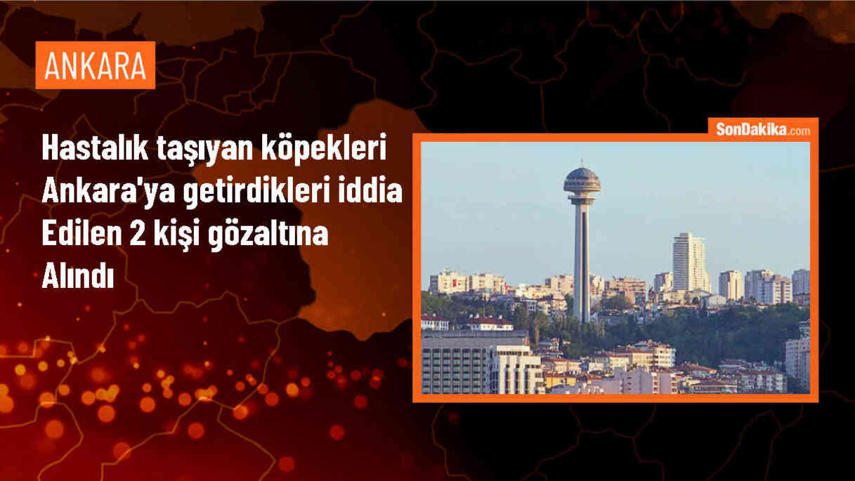 Hastalık taşıyan köpekleri Ankara\'ya getiren 2 kişi gözaltına alındı