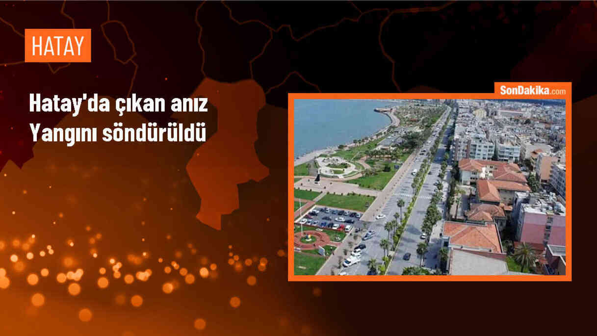 Hatay\'da çıkan anız yangını zeytinliğe sıçramadan söndürüldü
