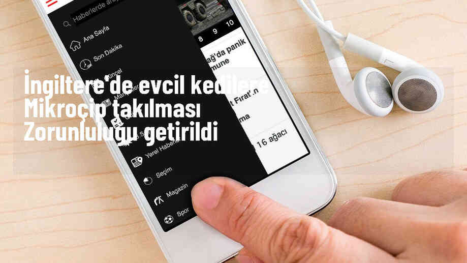 İngiltere\'de evcil kedilere mikroçip takma zorunluluğu getirildi