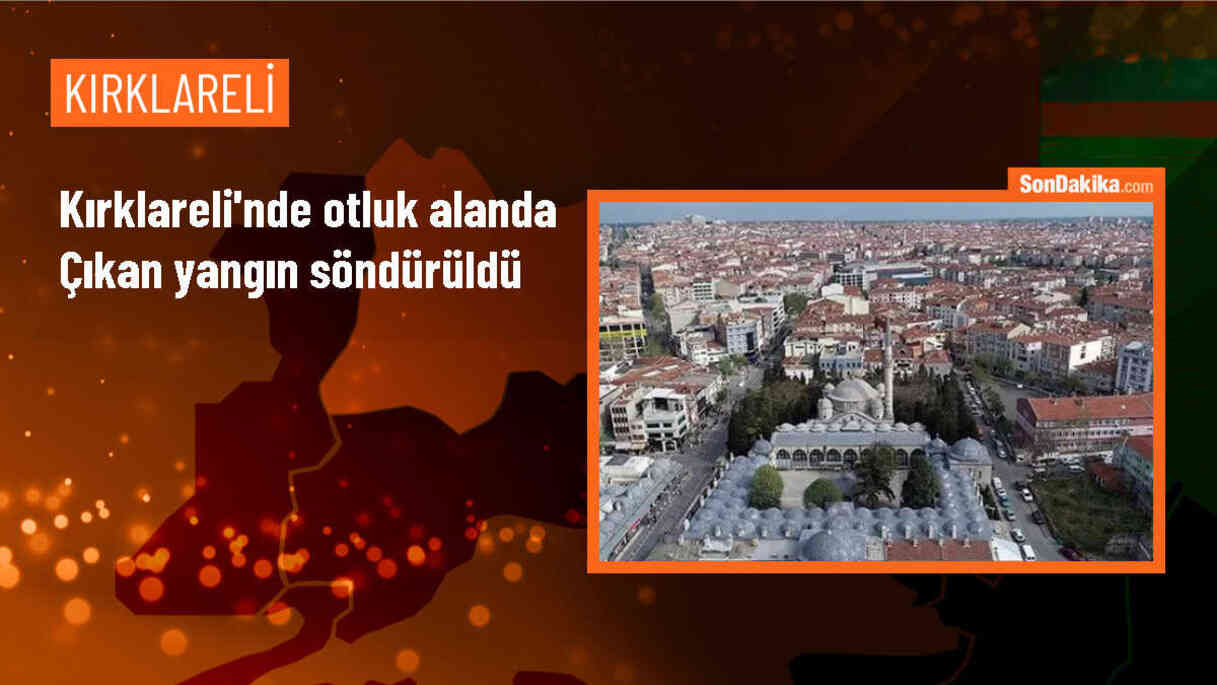 Kırklareli\'nde otluk alanda çıkan yangın söndürüldü