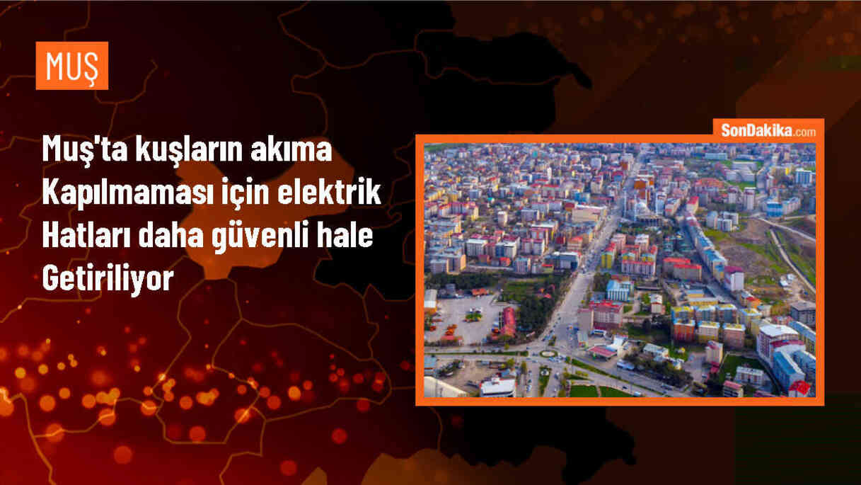 Muş\'ta VEDAŞ, Kuşların Akıma Kapılmasını Önlemek İçin Çalışma Başlattı