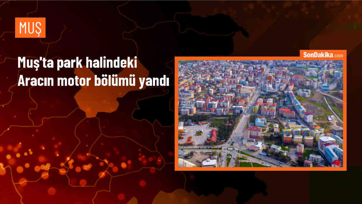 Muş\'ta park halindeyken motor bölümü alev alan araçta maddi hasar oluştu