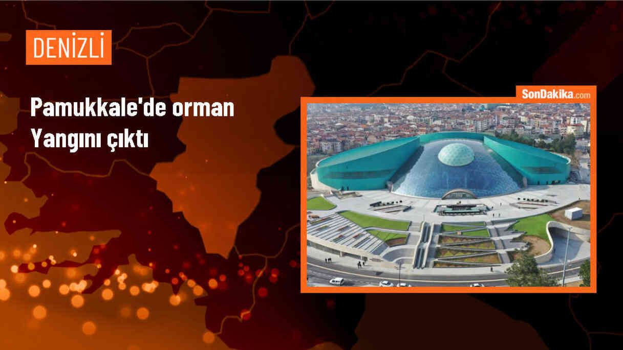 Denizli\'nin Pamukkale ilçesinde orman yangını çıktı