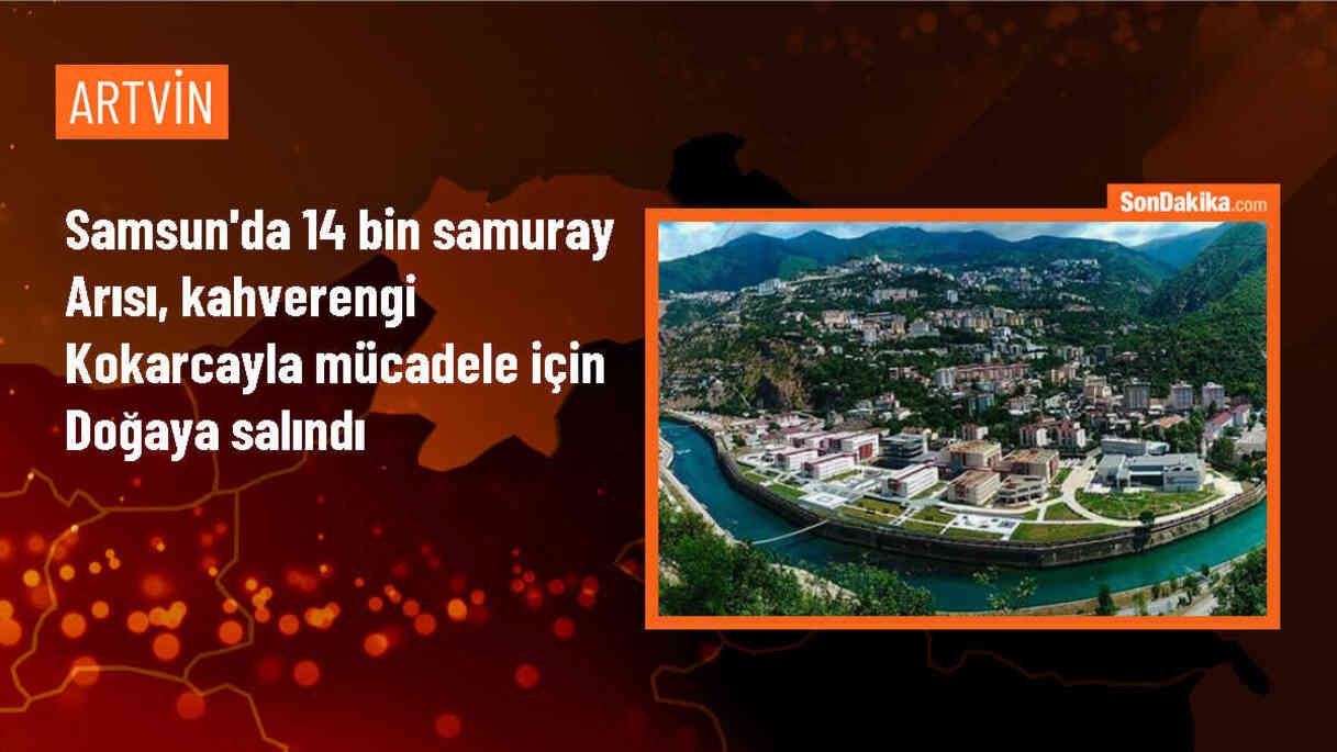 Kahverengi kokarca ile mücadelede samuray arıları kullanıldı