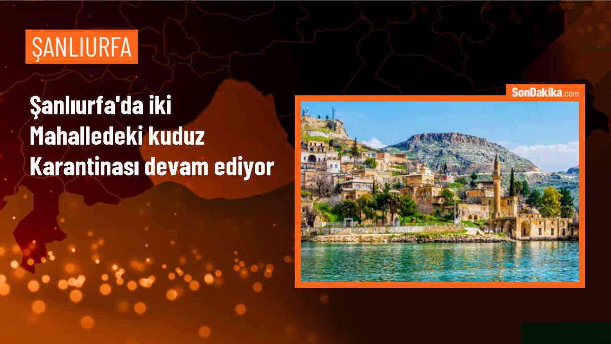 Şanlıurfa\'da Kuduz Vakası: Sahipsiz Köpeklerin Aşılanması Talep Ediliyor