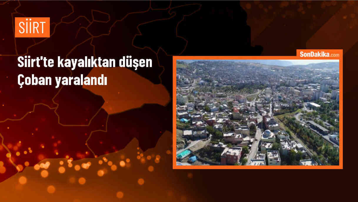 Siirt\'te hayvan otlatan çoban kayalıktan düşerek yaralandı