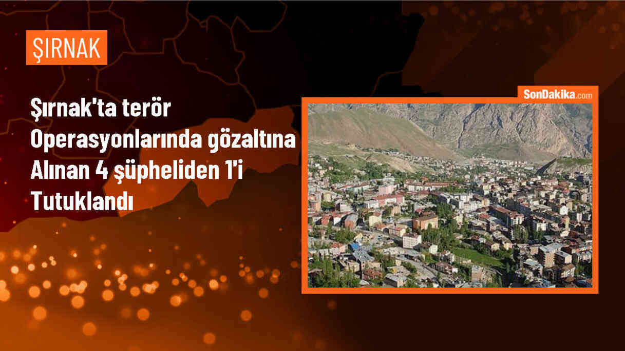 Şırnak\'ta PKK/KCK operasyonunda 1 şüpheli tutuklandı