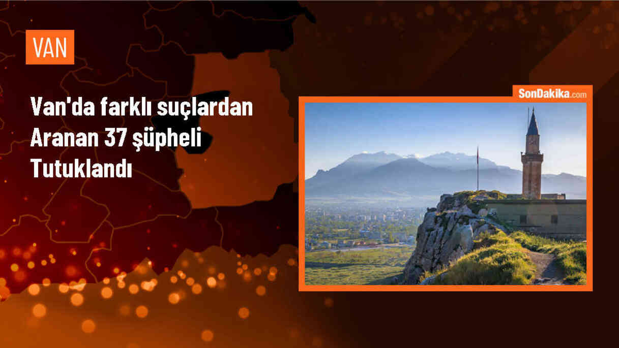 Van\'da 221 şüpheli gözaltına alındı, 37\'si tutuklandı