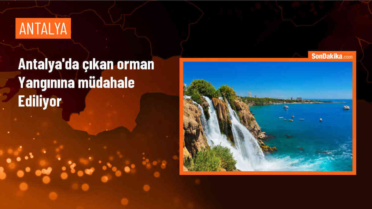 Antalya\'nın Kemer ilçesinde orman yangını çıktı