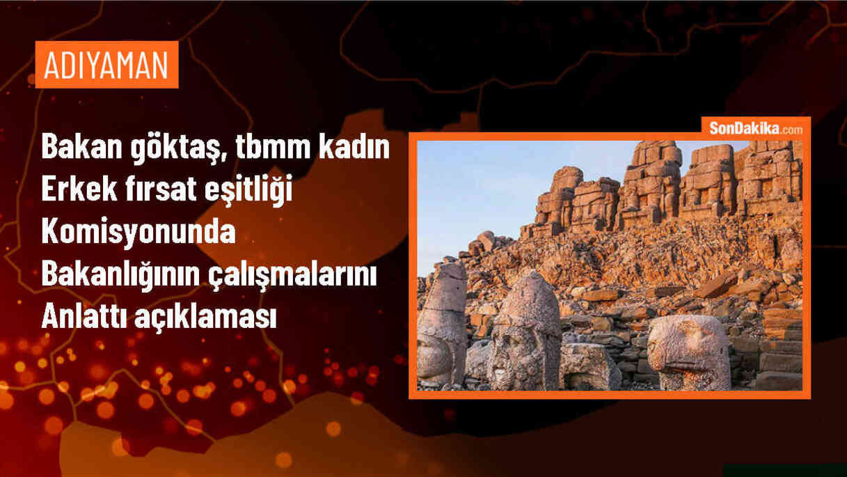 Bakan Göktaş, TBMM Kadın Erkek Fırsat Eşitliği Komisyonunda Bakanlığının çalışmalarını anlattı Açıklaması