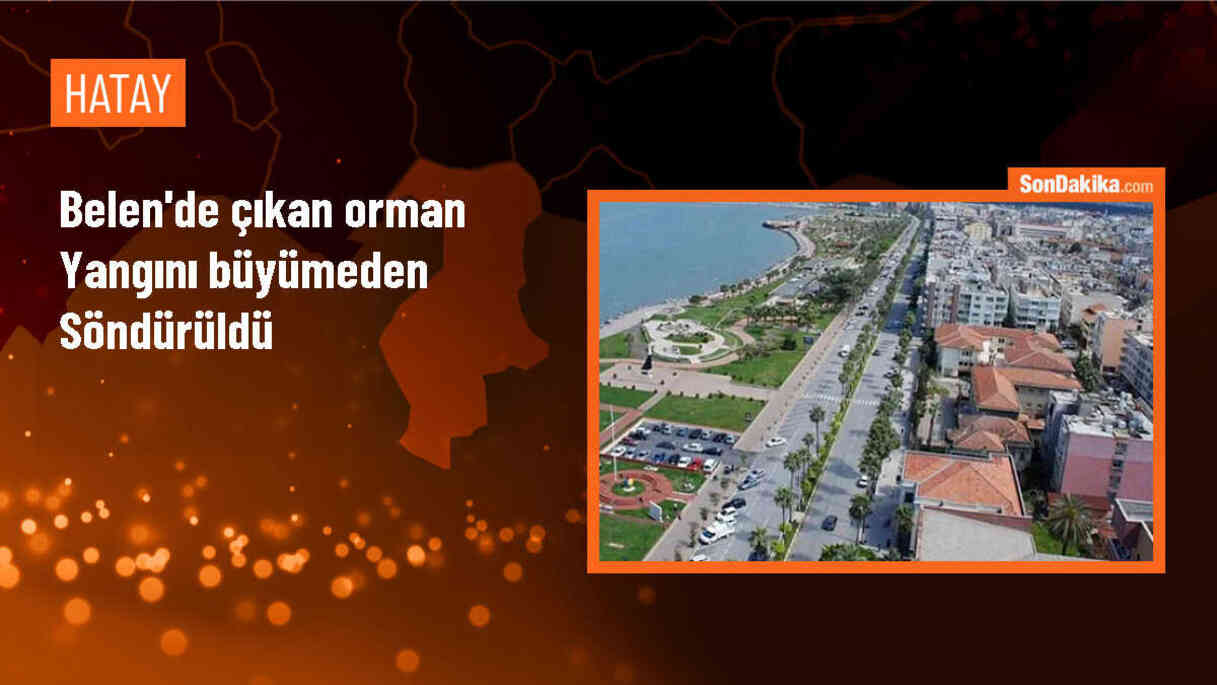 Hatay\'ın Belen ilçesinde ormanlık alanda çıkan yangın büyümeden söndürüldü